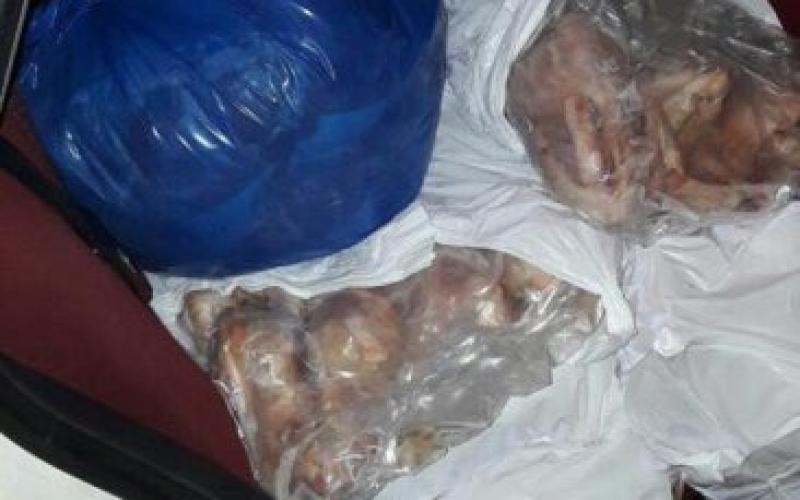 إتلاف 400 كغم دجاج غير صالح للاستهلاك بقلقيلية