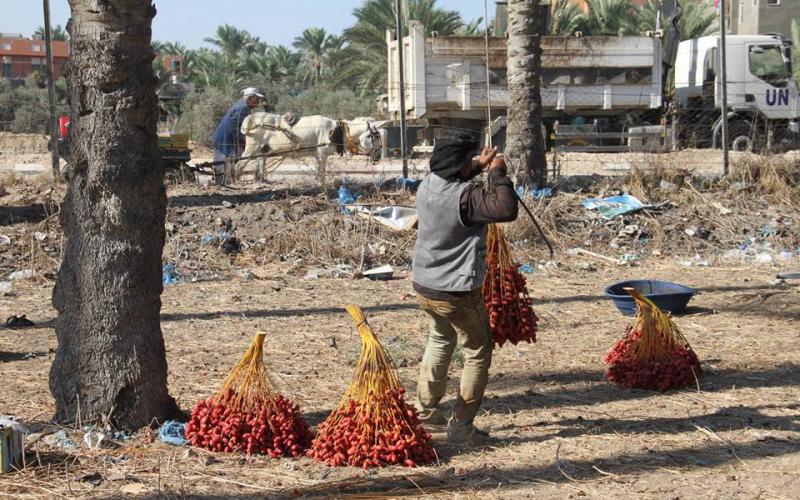 14448900_641672602668958_6376481686498508415_n