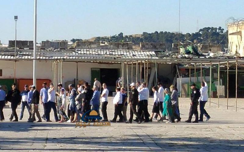 13151742_1398110690231347_2408515648614742159_n (1)