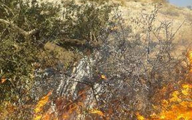 13492945_1269176693107394_1231059644_n