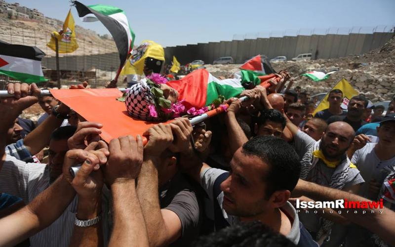 13707692_660246087459649_3310787710113738339_n