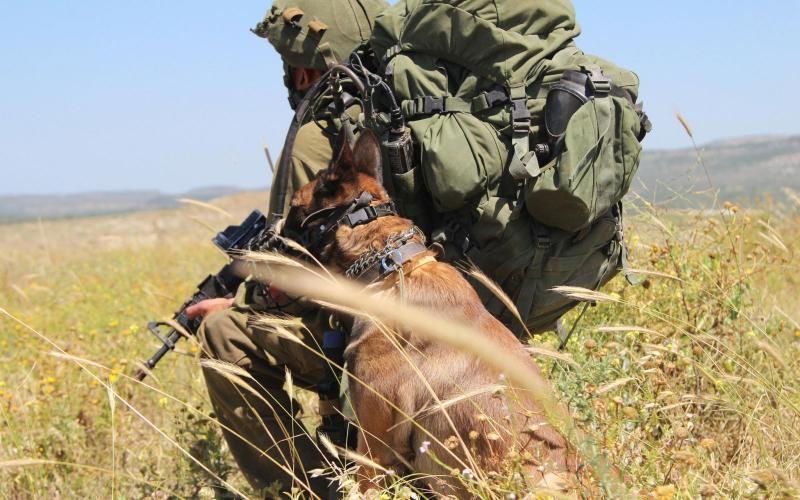 8712518245_ec5bbbe86d_k