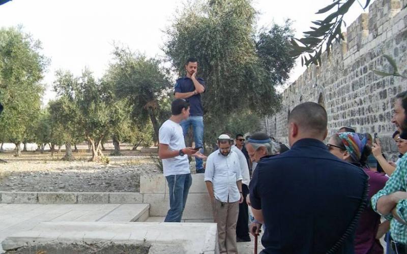 14055146_1507283172647431_6143963648106849419_n