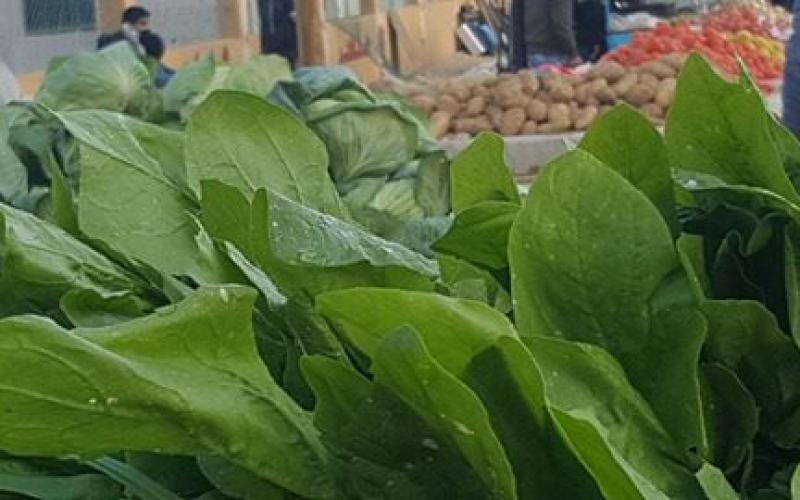 16839680_10212224364668383_1541213600_n