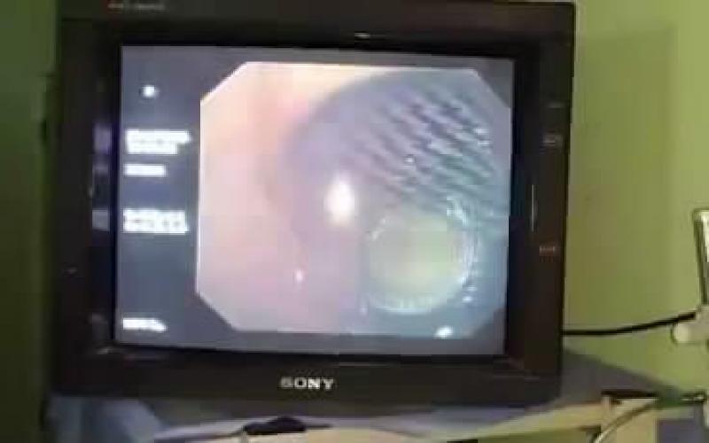 49705057_959984387722583_8544697788825337856_n