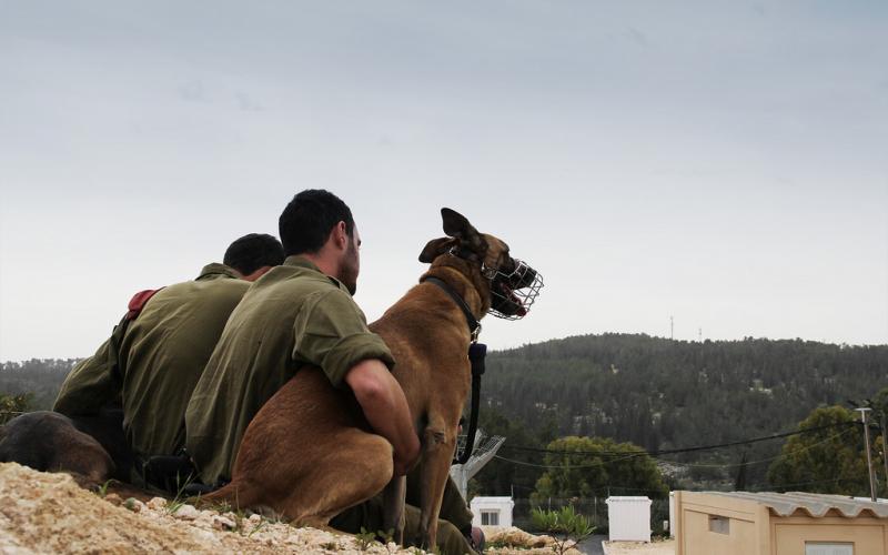 6840212777_a260523b7f_b