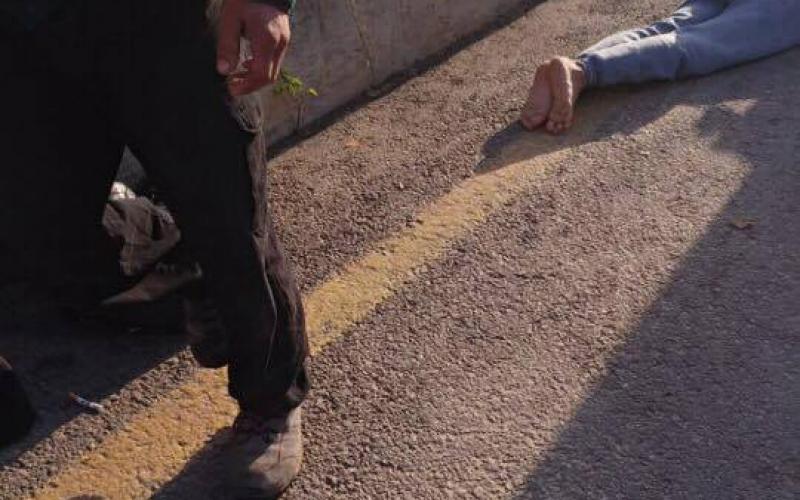 16425297_462979177424057_343949473_n