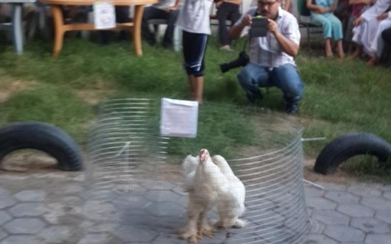 12002201_692458480888920_4118465677332693607_n