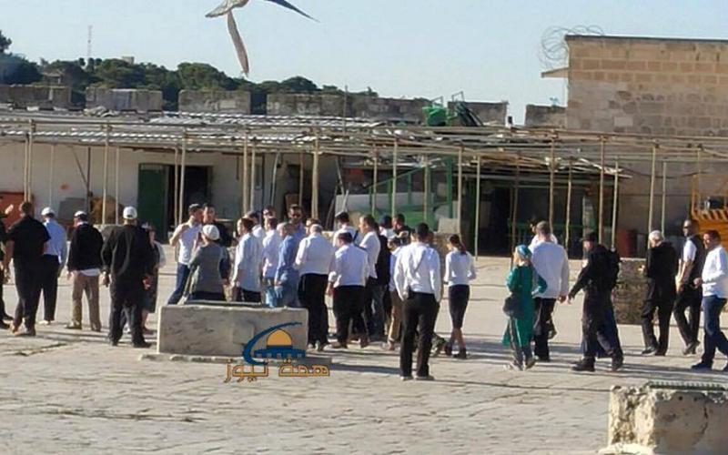 13151520_1398110696898013_113143849779493451_n