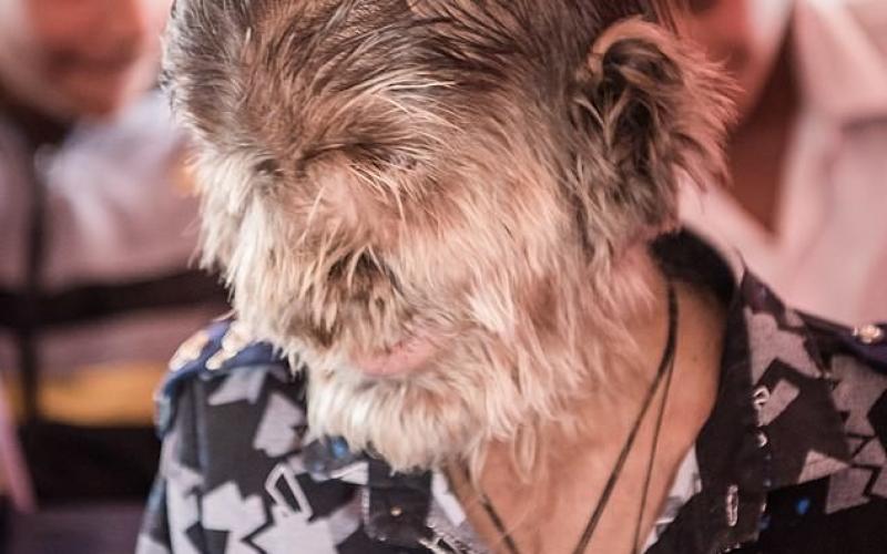 ما قصة "الطفل الذئب" في الهند؟