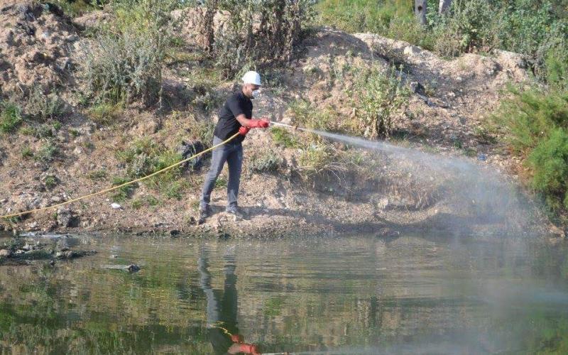 13087822_833701523440400_2722787340860671043_n