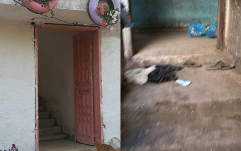 13082506_1102386379824464_4389844075305263788_n