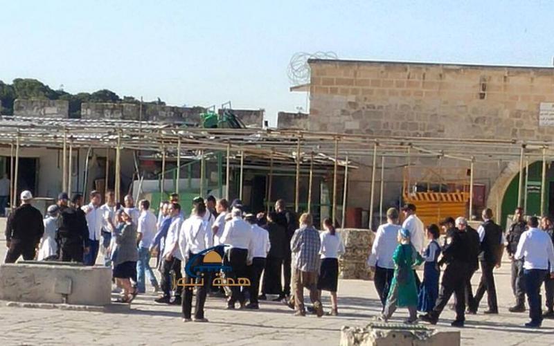 13151897_1398110726898010_5164236669082580967_n