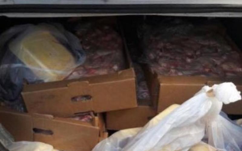 إتلاف 400 كغم دجاج غير صالح للاستهلاك بقلقيلية