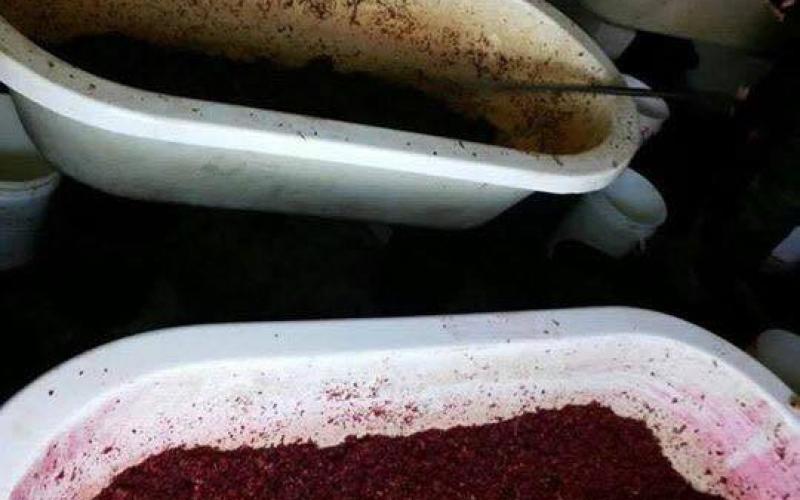 15424527_1460622090633642_1496451456_n