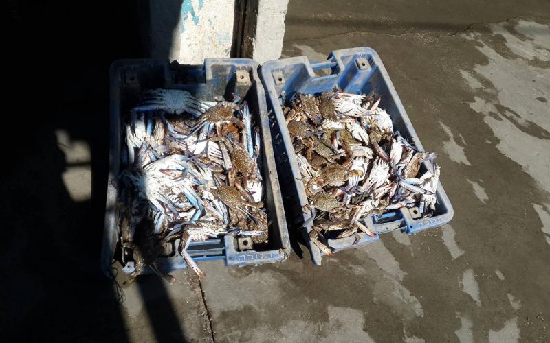 14551081_933210176822867_1229115666_o