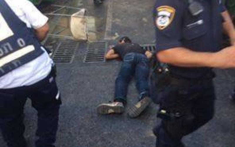 13578884_293686941021357_1605037719_n