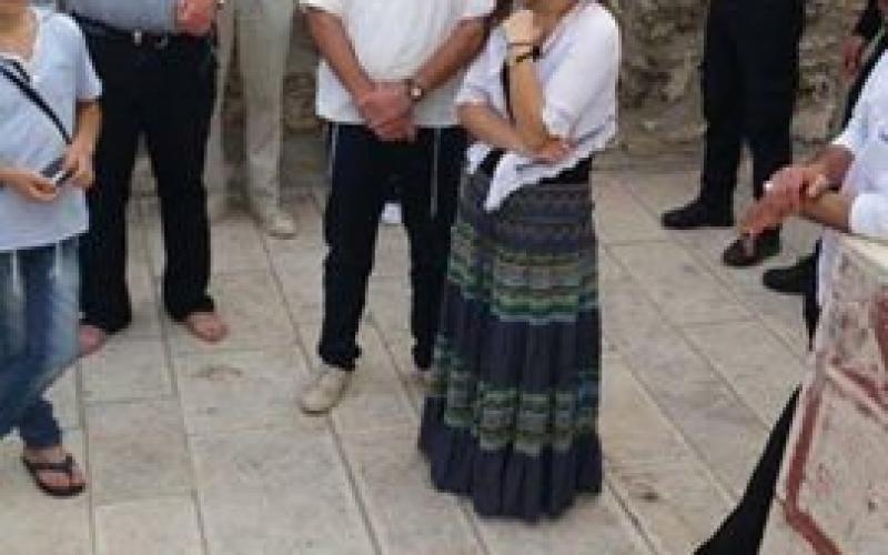 13895478_1493682310674184_963826709774040721_n