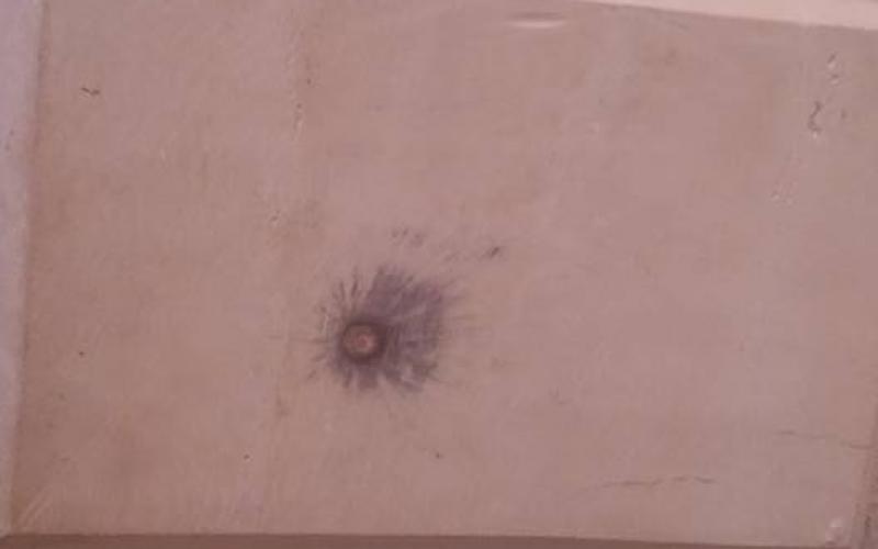 14054075_1172706292800902_5077606115454771258_n