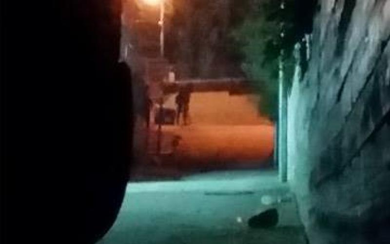 16807215_1793596960682716_4974640221370422864_n