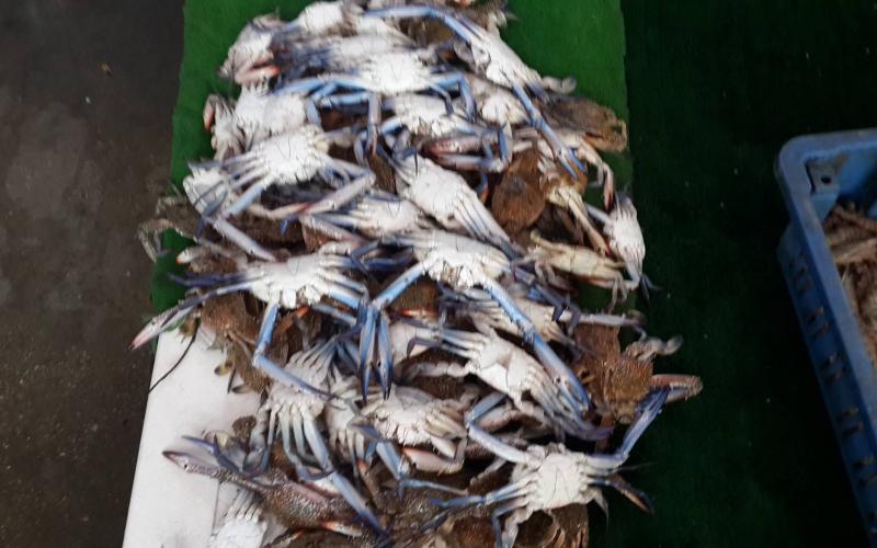 14489686_933210183489533_742284959_o