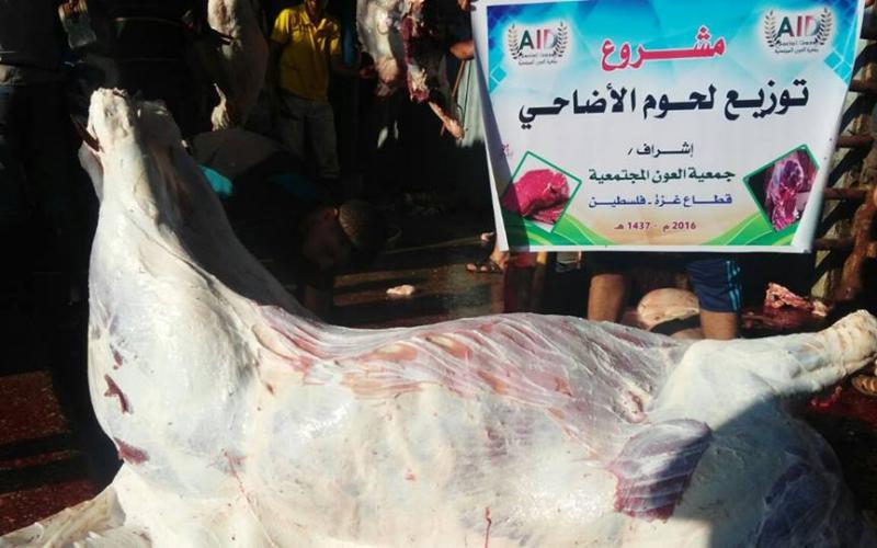 14358816_188789858210481_1756500592943489017_n