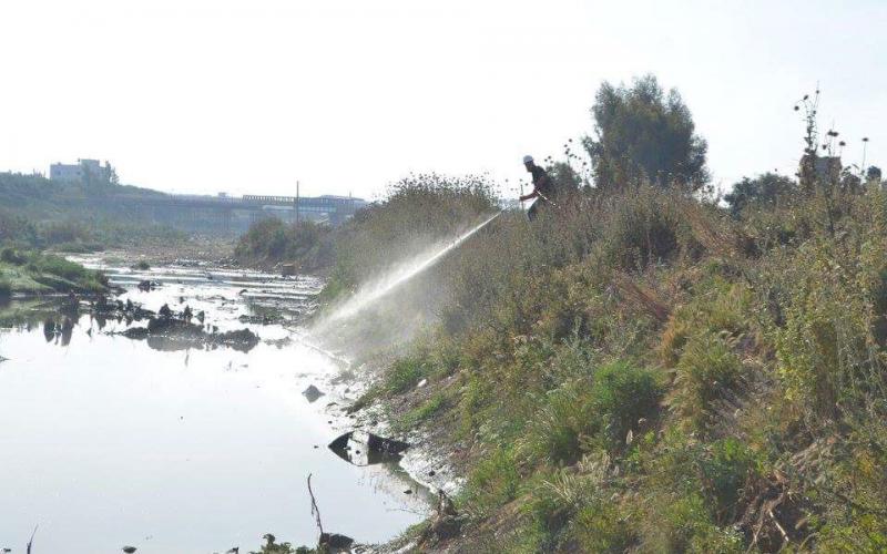 13043594_833701236773762_8474851146520402223_n