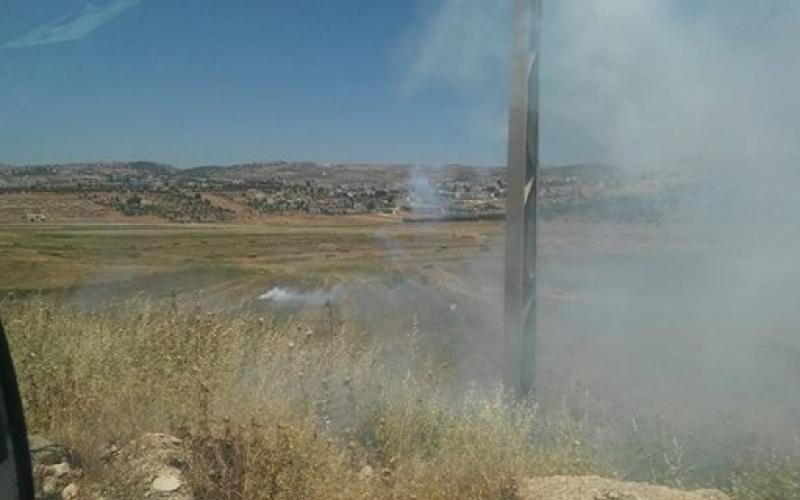 18403231_1911678305541247_123501890475991851_n