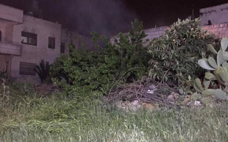 12974299_1064133753628254_930096122454953457_n