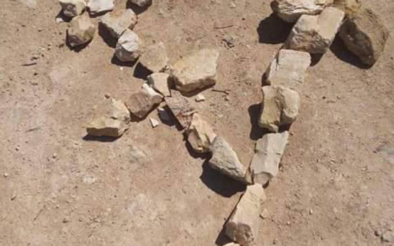 12804127_1135024419892981_1518185952_n