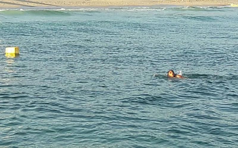 14063872_1222672187753034_1857772298950880303_n