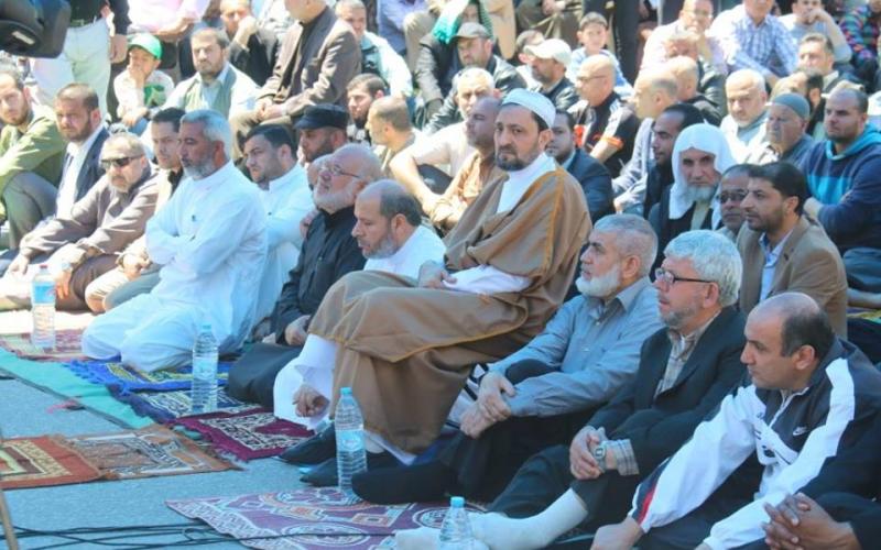 13015018_1016824005067389_144012746_n