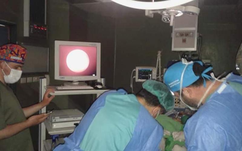 60133820_393181691270881_2718553112540348416_n