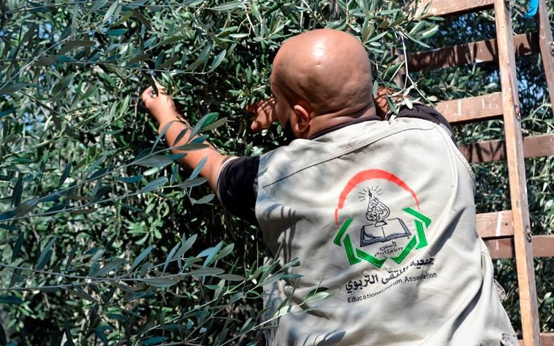 12096335_899856203384272_8263226553505940469_n