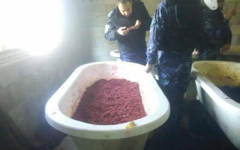 15451247_1460622047300313_433489026_n