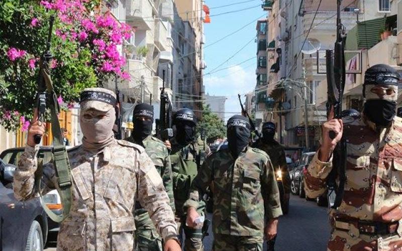 14463716_1698198140500473_1476201633_n