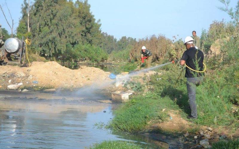 13087888_833701326773753_3902671752161453884_n