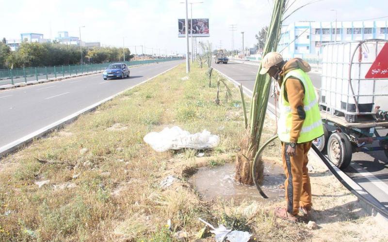 17426399_1889913727891548_3198813410775616653_n