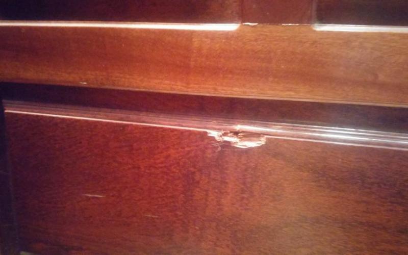 14100415_1172705389467659_1029773603300607202_n