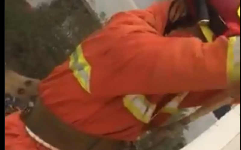 سسس