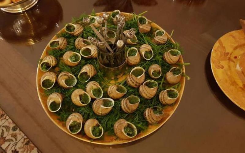 ششش