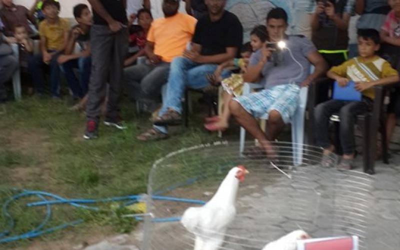 11993281_692458124222289_1556741836382735817_n