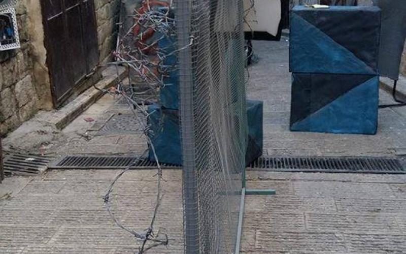 13012793_1005104282898190_1452752974427444966_n