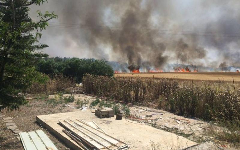 13095829_483140858559075_7459504594237093800_n