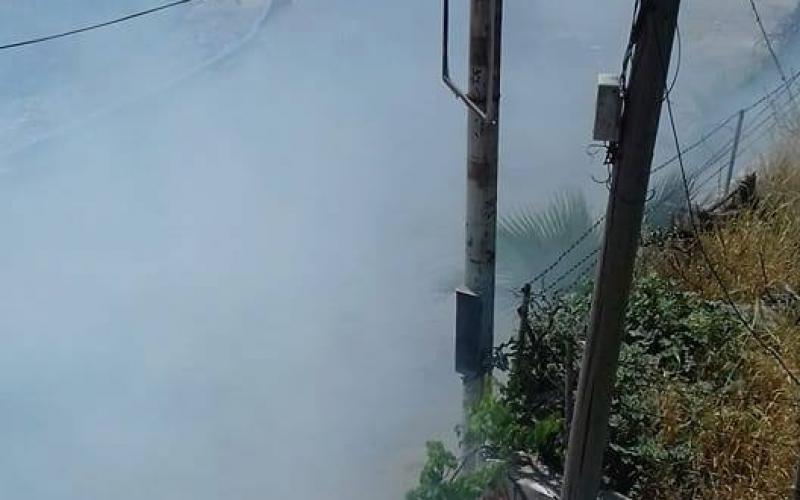 18447047_1911702662205478_2100379897519859293_n