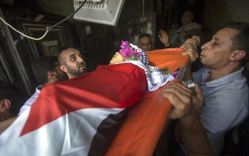 13731559_1465605093481906_4931441867154911812_n