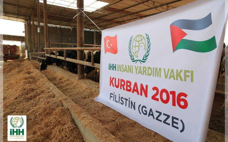 14290039_1532220043487077_4348817372959499109_o