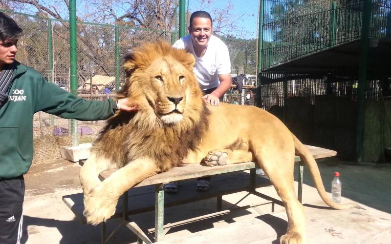 Lujan-Zoo