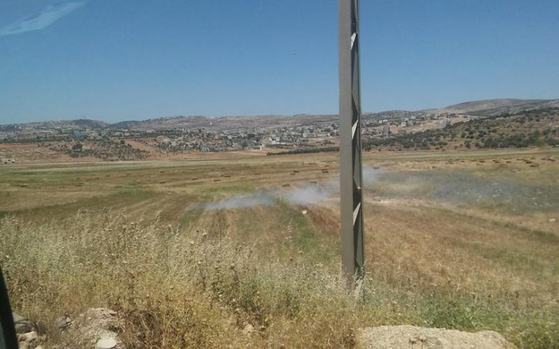 18403119_1911678052207939_8714801419759029382_n