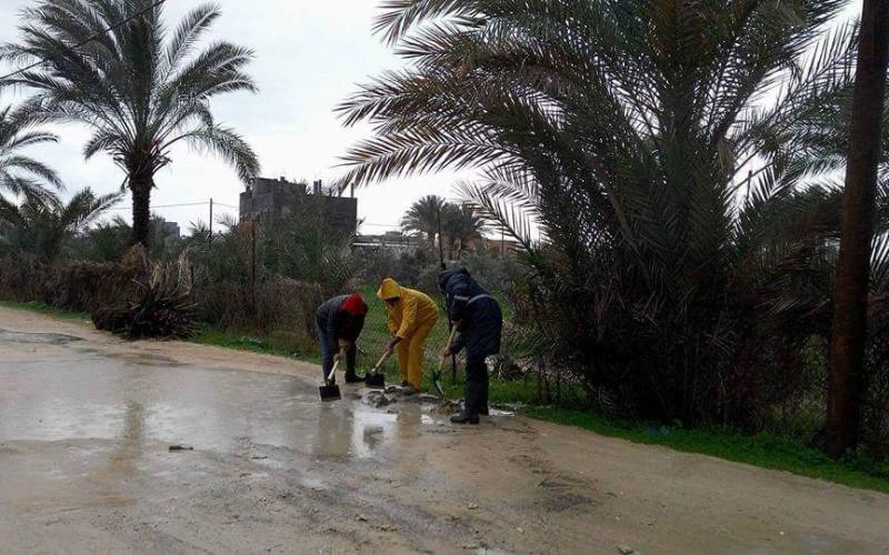 16730116_1039343702876180_776933457768381006_n